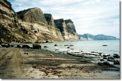 Gannet Beach Adventures