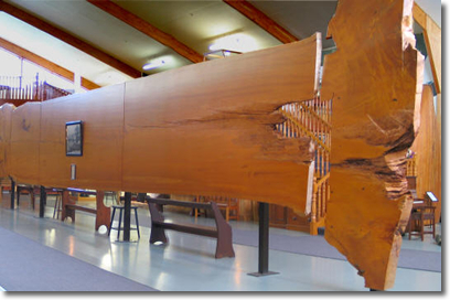 The Kauri Museum, Matakohe