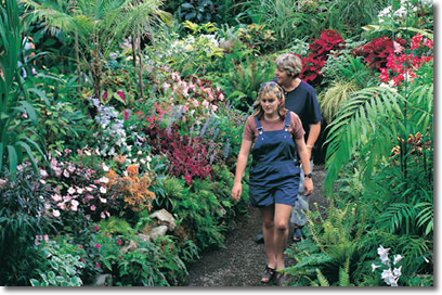 Taranaki Rhododendron and Garden Festival