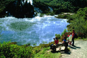 Waimangu Round Trip
